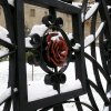 Ограда